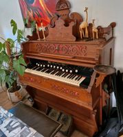 Harmonium - Hofberg Orgel Niedersachsen - Osnabrück Vorschau