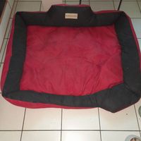 hundebett rot/2x kissen 20x20cm Nordrhein-Westfalen - Krefeld Vorschau