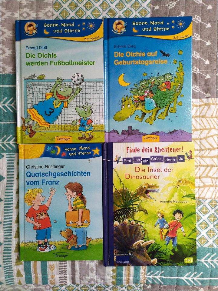 Lesegeschichten Erstklässler Zweite Klasse Buch Kind in Marbach am Neckar