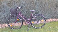 Fahrrad Pegasus 28 Zoll Niedersachsen - Walsrode Vorschau