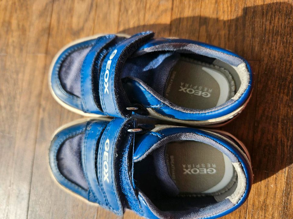 Kinder Sneaker GEOX Gisli Größe 21 blau in Garbsen