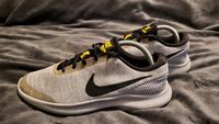 Nike Flex Sneaker unisex Größe: 42 Sachsen - Grimma Vorschau