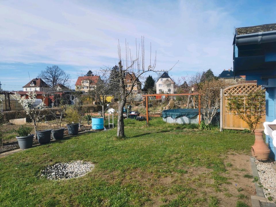Familienfreundlicher Kleingarten in Radebeul