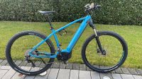 Kreidler Vitality Dice 29er 7.0 Top Zustand e-Bike Mountainbike Nordrhein-Westfalen - Schieder-Schwalenberg Vorschau