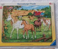 Ravensburger Puzzle Pferde Hamburg-Nord - Hamburg Barmbek Vorschau