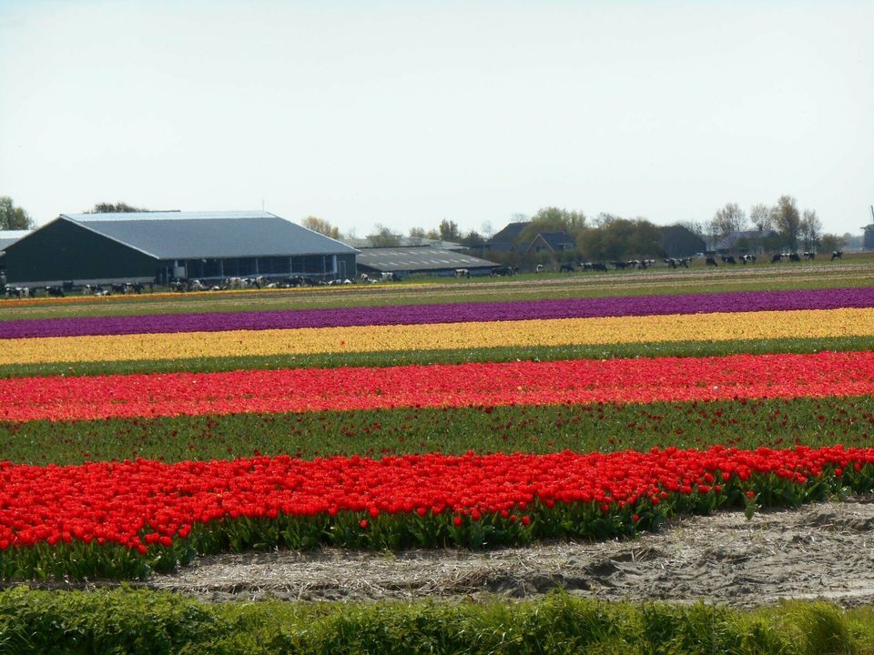 ❌❗❗Ferienhaus - Ferienwohnung - Mobilheim in Holland - Nordsee❗❗❌ in Euskirchen