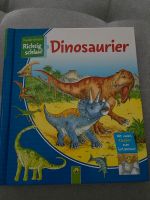 Dinosaurier Buch Richtig schlau! Berlin - Pankow Vorschau