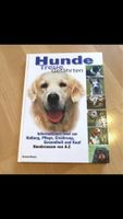 Neu Buch „Hunde treue Gefährten " Wandsbek - Steilshoop Vorschau