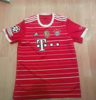 Bayern Trikot Herren West - Griesheim Vorschau