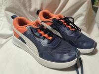 Puma Hallenschuhe Evolve Run Gr 37  Turnschuhe Sneaker Sportschuh Rheinland-Pfalz - Wörrstadt Vorschau
