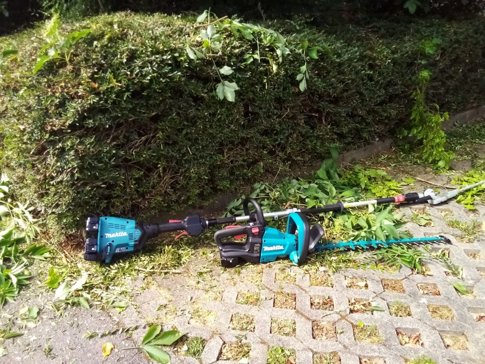 Baum und Gartenpflege, Obstbaumschnitt, Mähen in Notzingen