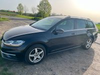 Volkswagen VW Golf 7 2.0 TDI Highline Leder Kamera Automatik Hessen - Hanau Vorschau