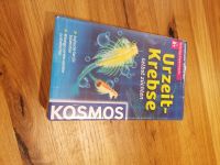 Kosmos Experiment Urzeit-Krebse (NEU und original verpackt) Sachsen-Anhalt - Halle Vorschau