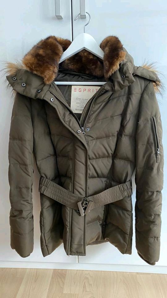 Esprit Damen Winterjacke in Köln