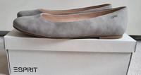 Esprit Ballerina in grau Grösse 41 Neu Thüringen - Gebesee Vorschau