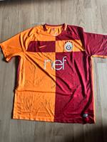 Galatasaray Trikot 2017/2018 Bayern - Großaitingen Vorschau