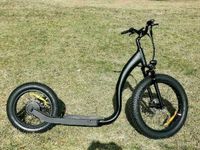 E-Roller Fatbike Roller E-Scooter Dog Scooter 35km/h Brandenburg - Cottbus Vorschau