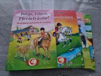 Leselöwen "Ponys, Fohlen, Pferdeträume" Kinderbücher Set Baden-Württemberg - Grenzach-Wyhlen Vorschau