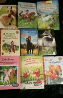8 Stück für 10,- Pferdebücher Ostern Kinderbücher Jugendbücher Sachsen - Meißen Vorschau