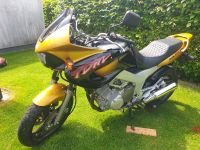 Yamaha TDM 850 4TX ´98 gold / schwarz Schleswig-Holstein - Krummwisch Vorschau