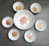Porzellanschale  mit 6 kleinen passenden Dessertschälchen. Niedersachsen - Laatzen Vorschau