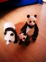 Schleich Panda Set Niedersachsen - Cremlingen Vorschau