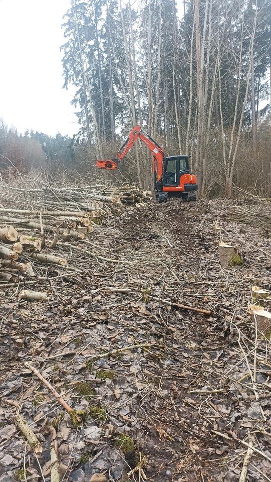 Bagger mieten mit Kegelspalter oder Fällgreifer in Plankenfels