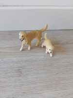 Schleich Golden Retriever 16395, 16396 Münster (Westfalen) - Handorf Vorschau