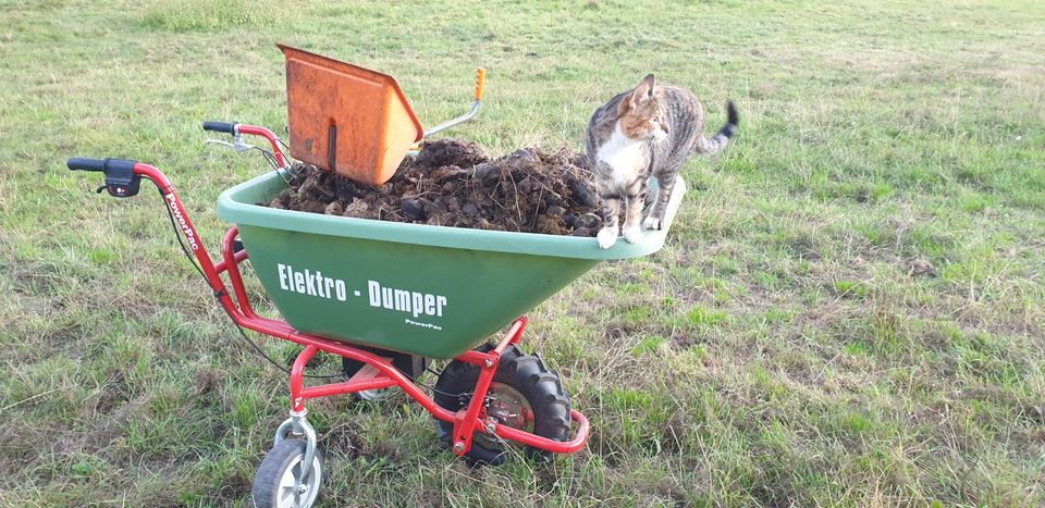 POWERPAC ED120 + 180ltr.  AKKUSCHUBKARRE ELEKTROSCHUBKARRE DUMPER in Kronberg im Taunus