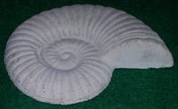 Schnecke - Beton Deko -  ca. 24 cm - In- /Outdoor - Wasserfest Niedersachsen - Hildesheim Vorschau