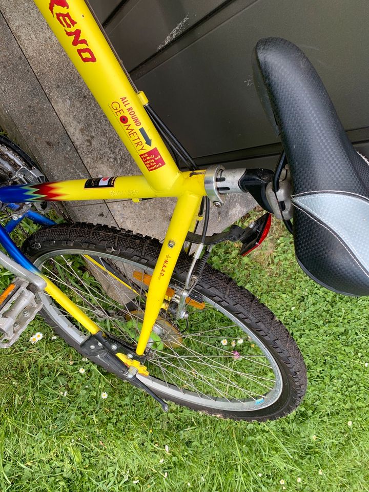 Fahrrad 26 Zoll in Regen