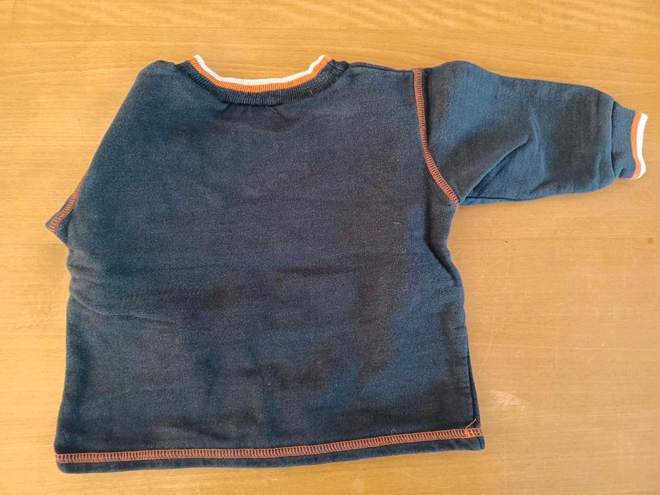 Pulli, Gr. 74-80, H&M, Topomini, C&A, Liegelind in Essen