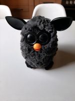 Furby Original Aachen - Aachen-Mitte Vorschau