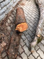 Drechseln Grünholz Zwetschge Drechselholz Deko Zwetschgenbaum Bayern - Pfaffenhofen a.d. Ilm Vorschau