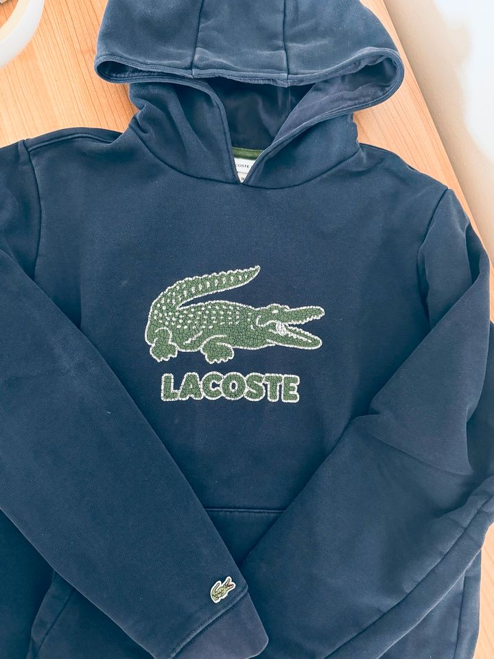 Lacoste Hoodie Gr. 176 in Essen