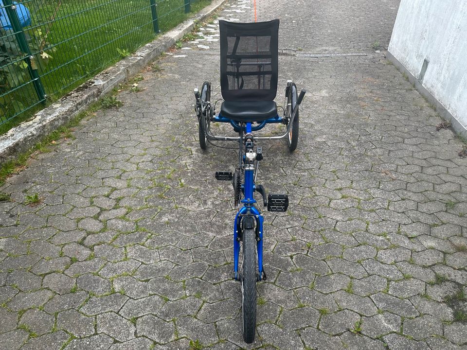 Liegedreirad SUN EZ-3 USX HD Delta Trike in Fröndenberg (Ruhr)