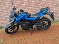 Suzuki GSX S125 Niedersachsen - Dörverden Vorschau