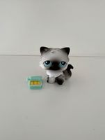 Littlest Pet Shop Perserkatze Katze #60 Spielfigur LPS Hessen - Hanau Vorschau