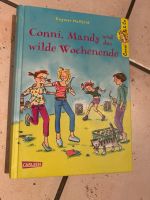 Conni,Mandy und das wilde Wochenende Niedersachsen - Einbeck Vorschau