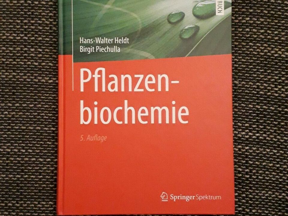 "Pflanzenbiochemie" 5. Auflage SpringerSpektrum - wie neu in Dresden