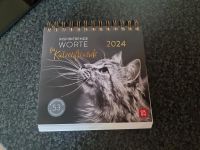 Katzen Aufstellkalender 2024 Sachsen - Glauchau Vorschau