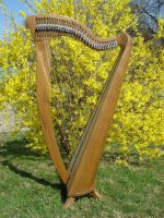 NEUE 34 saitige Harfe ideal für Harfenunterricht 124cm 10kg C2-A6 Baden-Württemberg - Horgenzell Vorschau