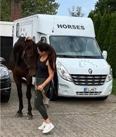 Pferdetransport Pferdetransporter Stallwechsel Krankenfahrten Niedersachsen - Hagenburg Vorschau