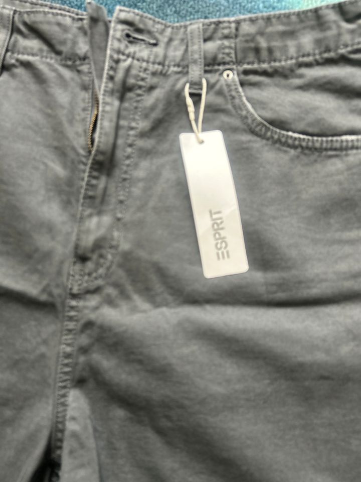 Esprit Shorts in Molfsee