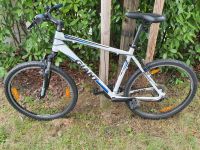 Giant Revel 4, Mountainbike 26 Zoll, 51cm Rahmenhöhe Rheinland-Pfalz - Limburgerhof Vorschau