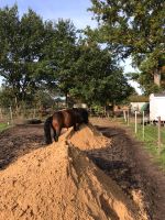 Mutterboden,oder Sand gesucht Niedersachsen - Brietlingen Vorschau