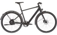 RABENEICK TX-E - E-Bike - Gates - Urbanbike - UVP: 2399 € Berlin - Köpenick Vorschau