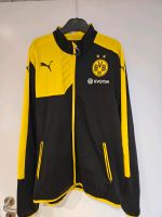 BVB Trainingsjacke Nordrhein-Westfalen - Goch Vorschau