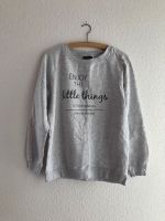 Graues Sweatshirt Pulli Pullover Hessen - Darmstadt Vorschau