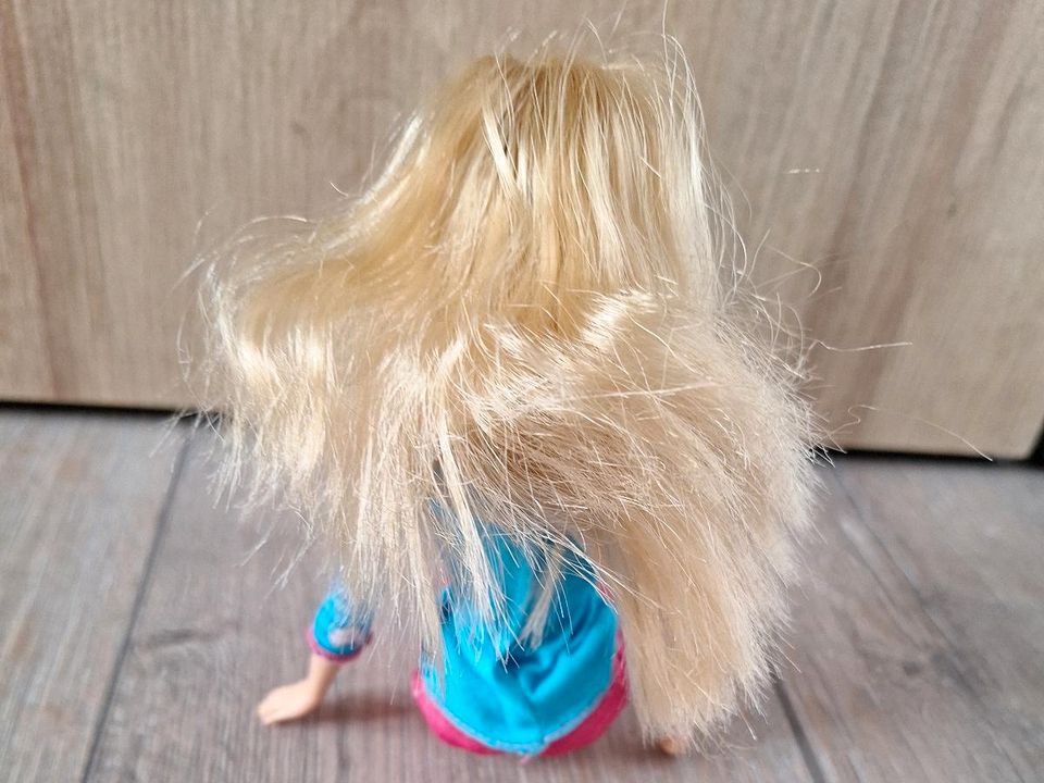 Barbie mit Hund in Drensteinfurt